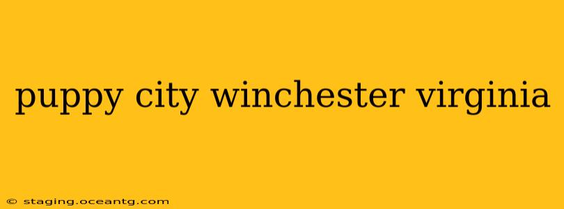 puppy city winchester virginia
