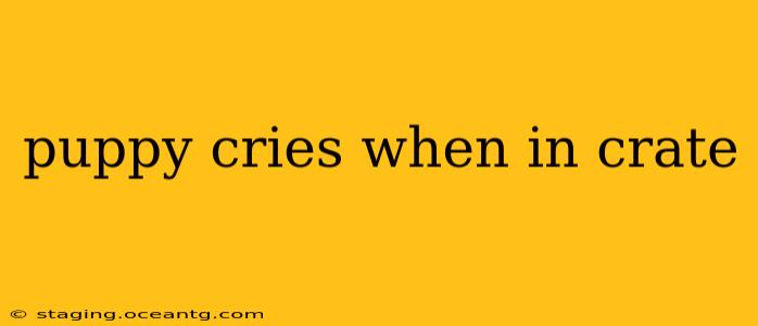 puppy cries when in crate