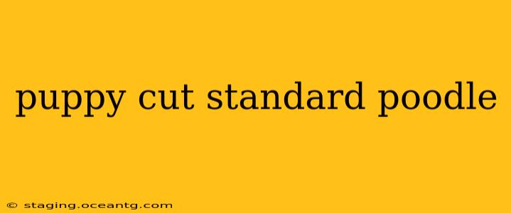 puppy cut standard poodle