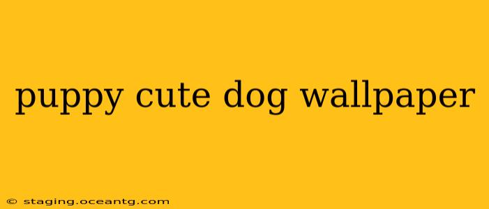 puppy cute dog wallpaper