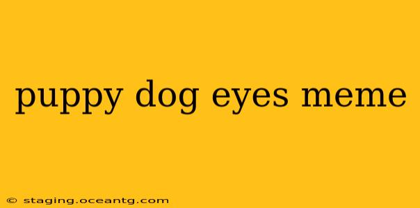 puppy dog eyes meme