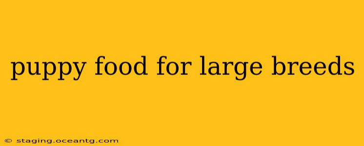 puppy food for large breeds
