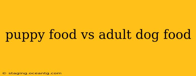 puppy food vs adult dog food