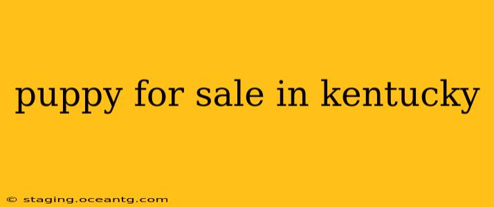 puppy for sale in kentucky