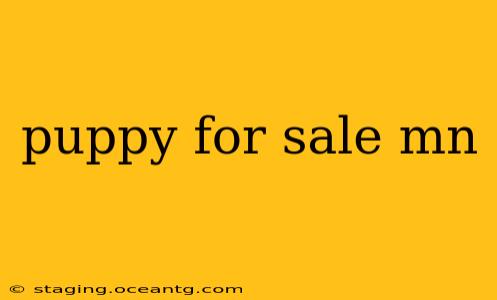 puppy for sale mn