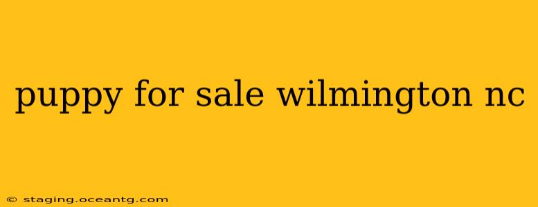 puppy for sale wilmington nc
