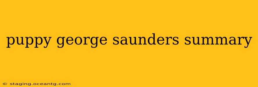 puppy george saunders summary