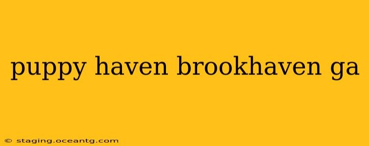 puppy haven brookhaven ga