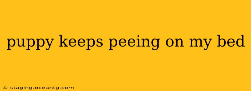 puppy keeps peeing on my bed