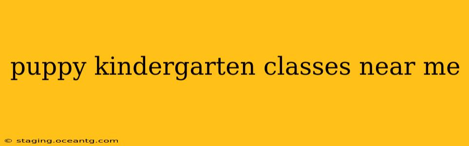 puppy kindergarten classes near me