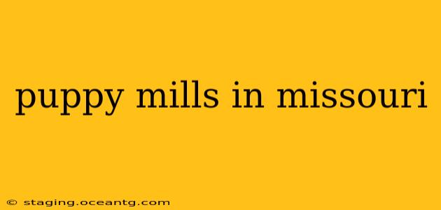 puppy mills in missouri