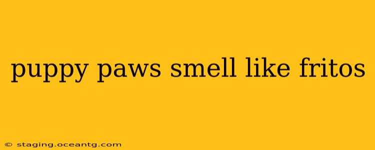 puppy paws smell like fritos