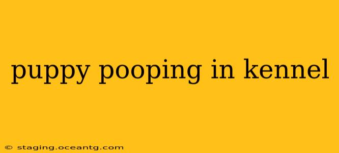 puppy pooping in kennel