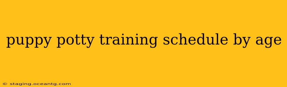 puppy potty training schedule by age