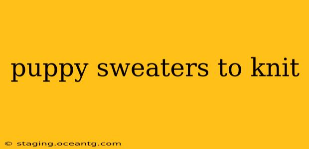 puppy sweaters to knit