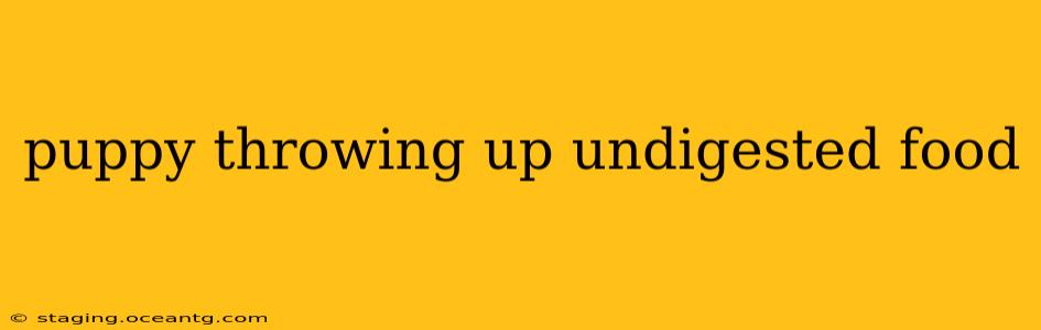 puppy throwing up undigested food
