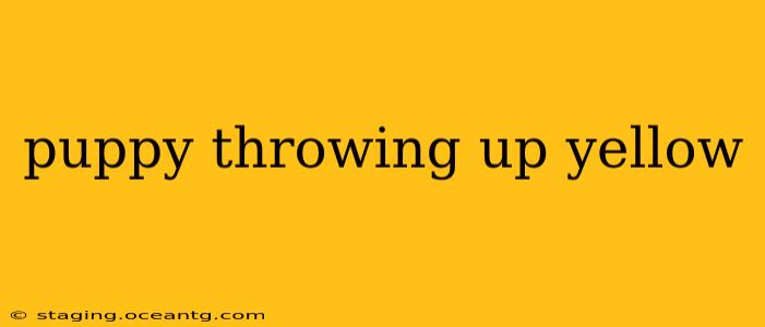 puppy throwing up yellow