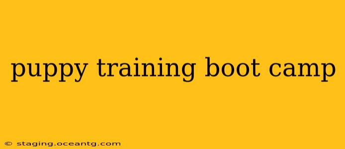 puppy training boot camp