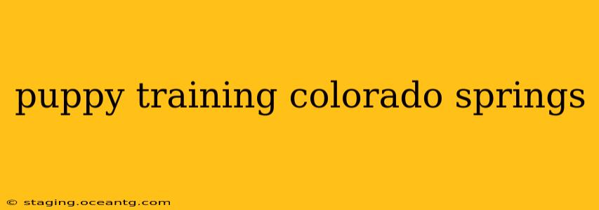 puppy training colorado springs