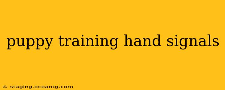puppy training hand signals