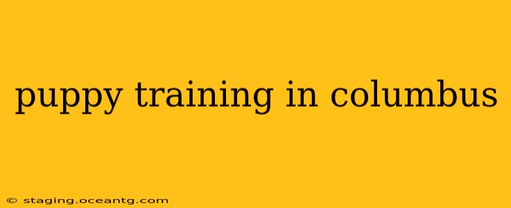 puppy training in columbus