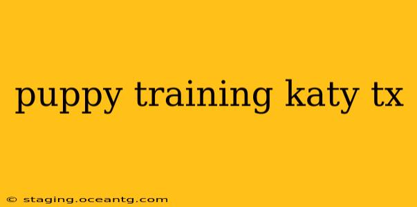 puppy training katy tx