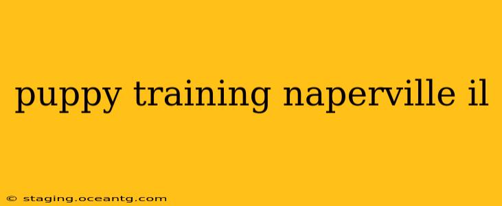 puppy training naperville il