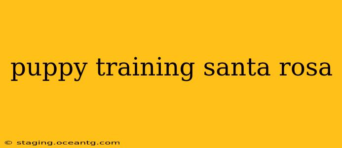 puppy training santa rosa