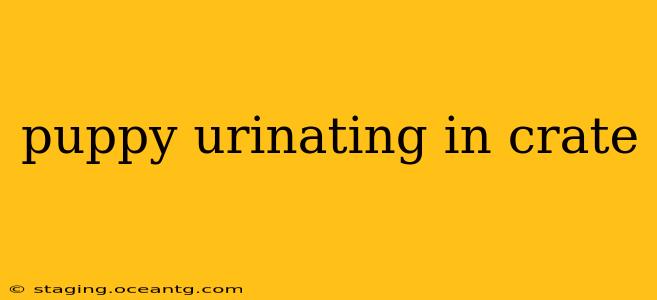 puppy urinating in crate