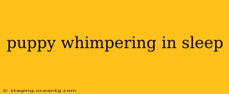 puppy whimpering in sleep
