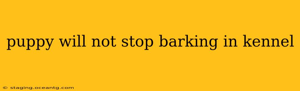puppy will not stop barking in kennel