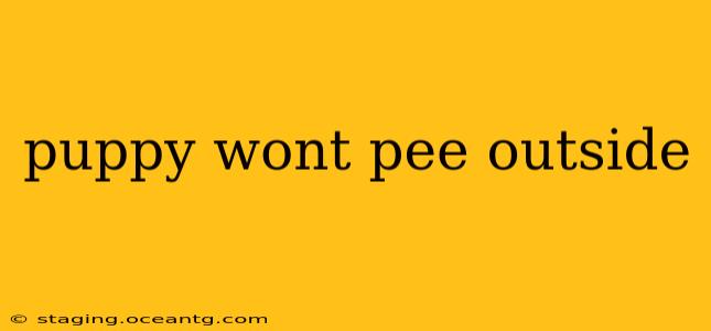 puppy wont pee outside