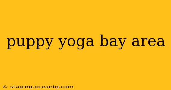 puppy yoga bay area