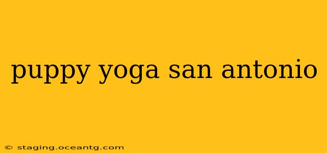 puppy yoga san antonio
