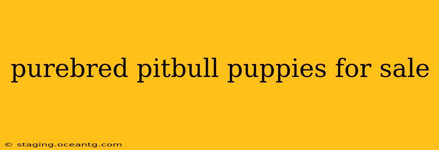 purebred pitbull puppies for sale