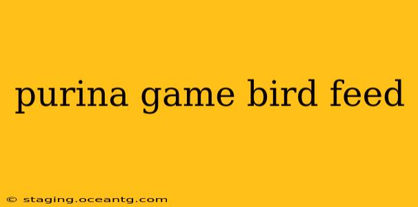 purina game bird feed