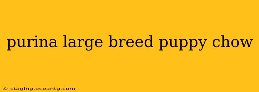 purina large breed puppy chow