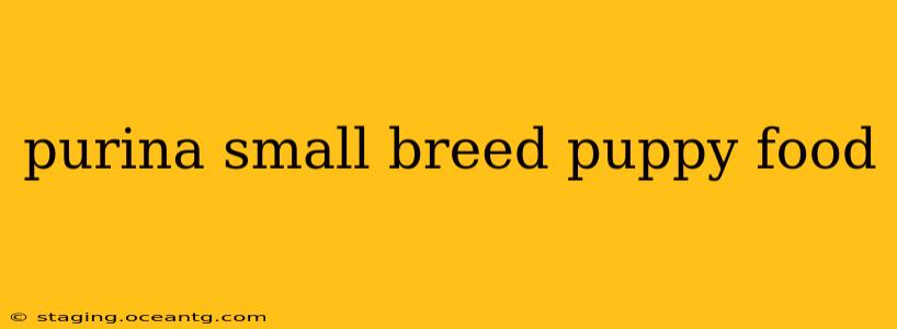 purina small breed puppy food