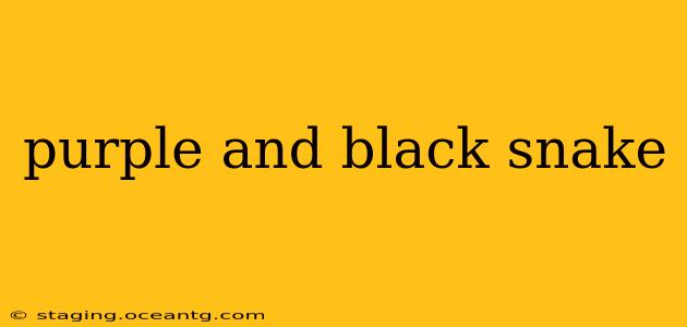 purple and black snake