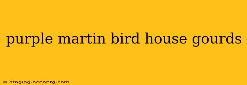 purple martin bird house gourds