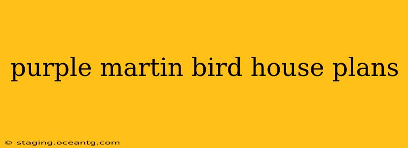 purple martin bird house plans