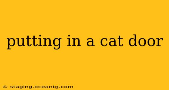 putting in a cat door