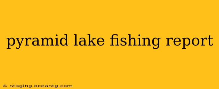 pyramid lake fishing report