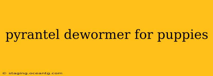pyrantel dewormer for puppies