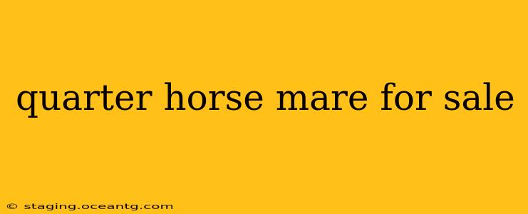 quarter horse mare for sale