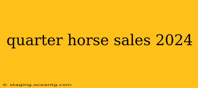 quarter horse sales 2024