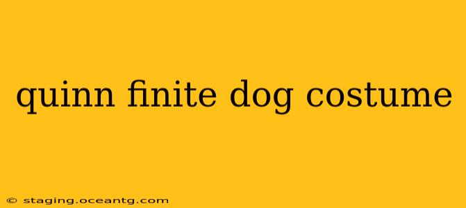 quinn finite dog costume