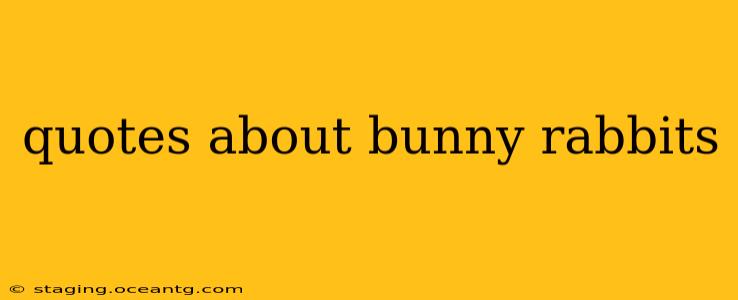 quotes about bunny rabbits