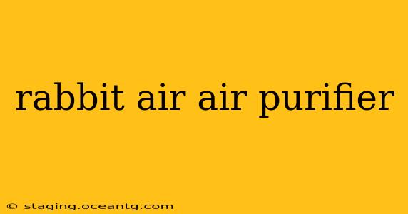 rabbit air air purifier
