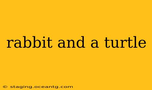 rabbit and a turtle